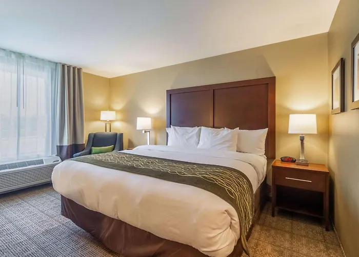 Comfort Inn & Suites - Harrisburg Airport - Hershey South